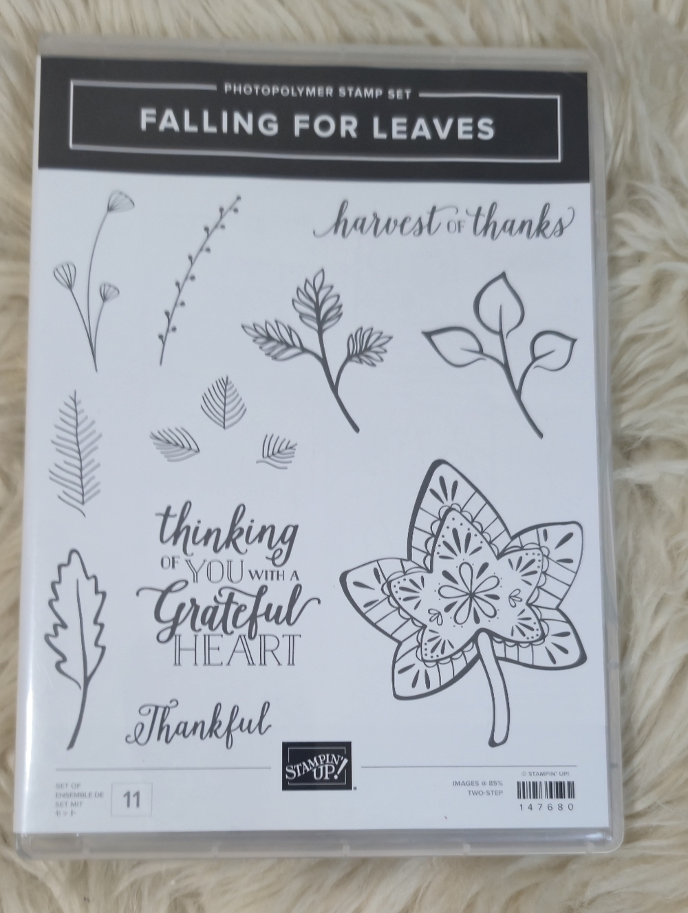 Stampin Up! "Falling For Leaves" Stamp Set And Dies